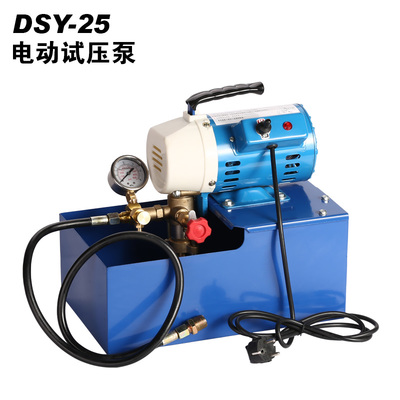 厂家直销DSY-60手提式电动试压泵 PPR管道试压机 双缸打压泵正品 _一淘网